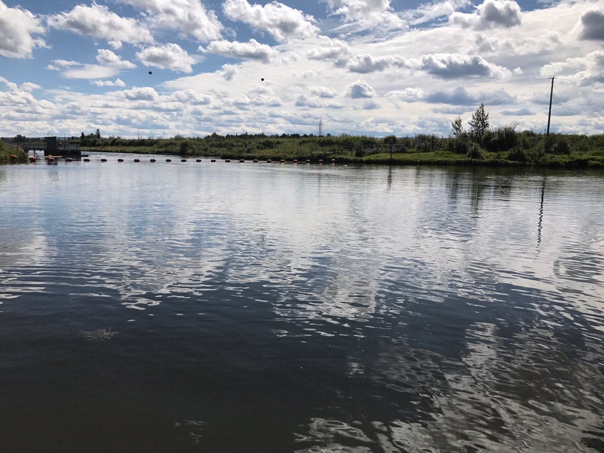 Lesser Slave Lake (LesserSlaveLake) Twitter