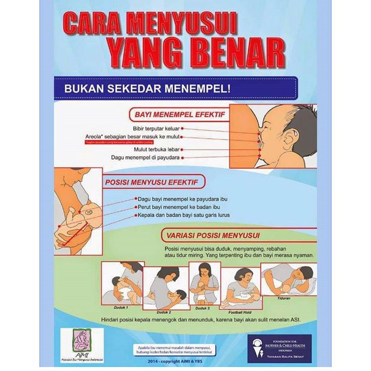 Posisi Menyusui Yang Benar