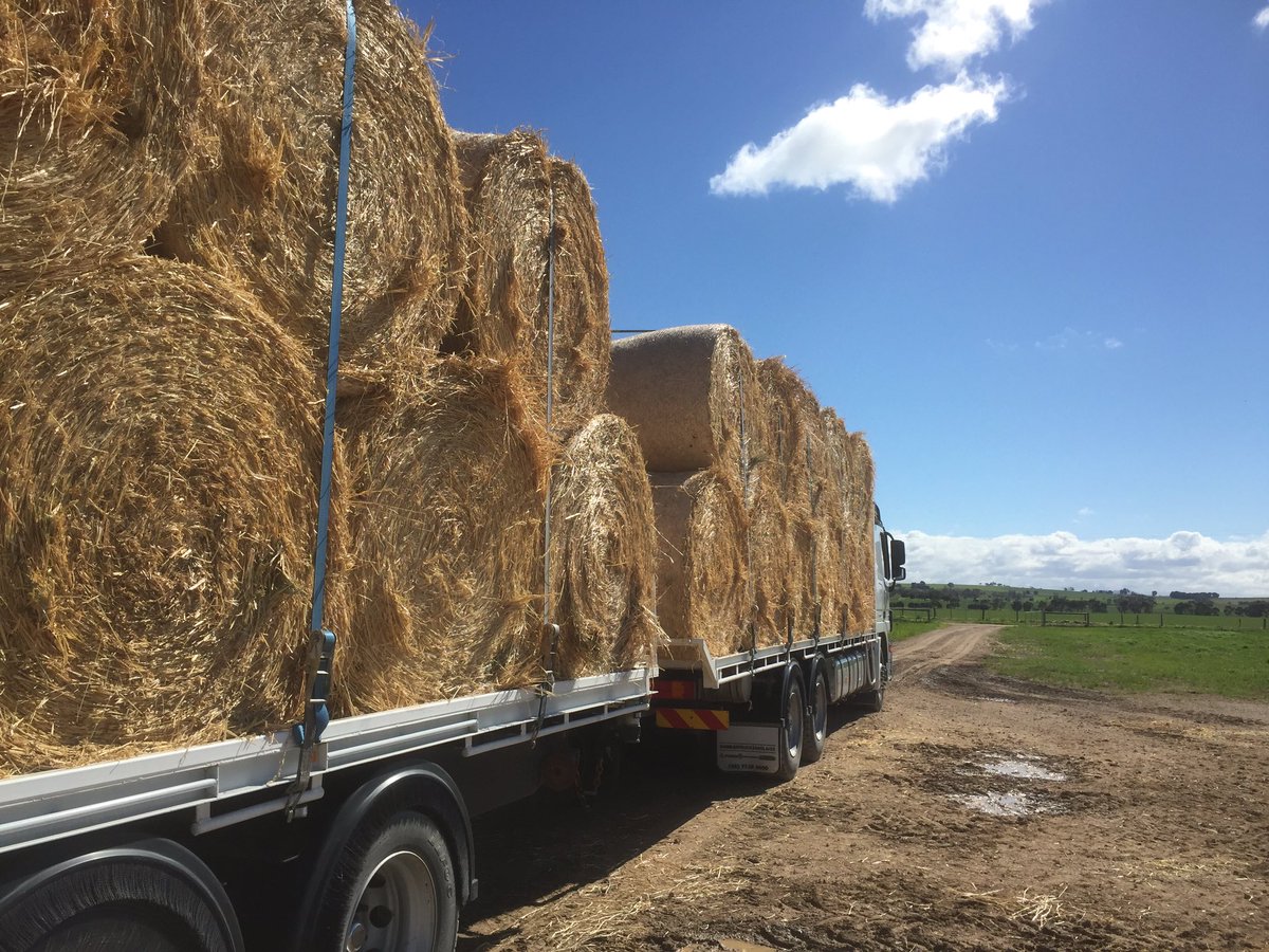 James_Stacey_'s tweet photo. One more load this afternoon and #Hay16 is all gone. Bring on #Hay17. 🎉🎉🎉 https://t.co/yaTxS0E3zp