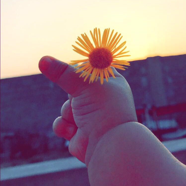 amera071's tweet photo. #صورة_جديدة_للملف_الشخصي https://t.co/p9IoerEAls