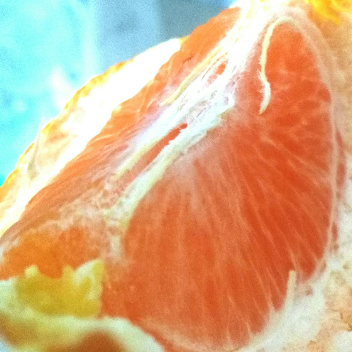 sapic99gmailcom's tweet image. เรื่องของส้ม! มีหลากหลายสายพันธ์ุ รสชาติแตกต่างกันไป..เปรี้ยวบ้าง หวานบ้าง สุดท้ายลงอยู่ในท้องหมด!