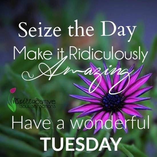 AmbienceEnt_SA's tweet photo. Positive Thinking vibes only... #TuesPositivity #PositiveVibesOnly https://t.co/RzgHrtaEak