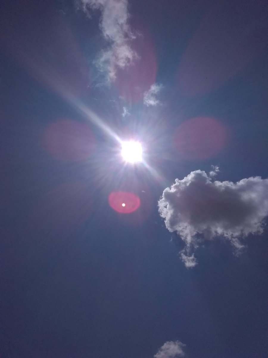 DavidTimbo4's tweet image. 