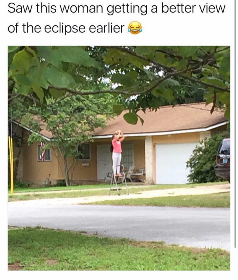 OMG Roflmao tweet media