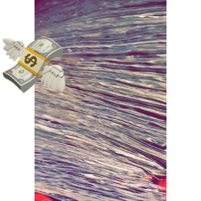 kingboujie_'s tweet photo. WHEN YOU FOUSED β
ON YOUR π°BREAD π DONT SHIT MAKE YOU MAD π #securethebag2017 https://t.co/SvAdEyqMS1