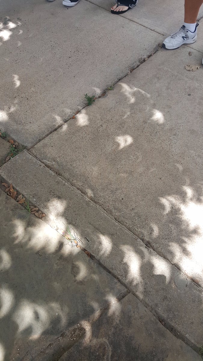vcox3's tweet photo. View of the eclipse from the ground through the trees at @Sinclair_ES https://t.co/Tky1bZd8Oe
