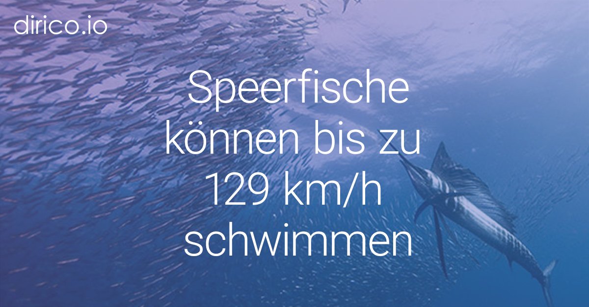 dirico_io's tweet photo. Heute ist der #TagderFische! 🐠 Schon gewusst...? 👇 #funfact #dirico https://t.co/LuNUviXUC1