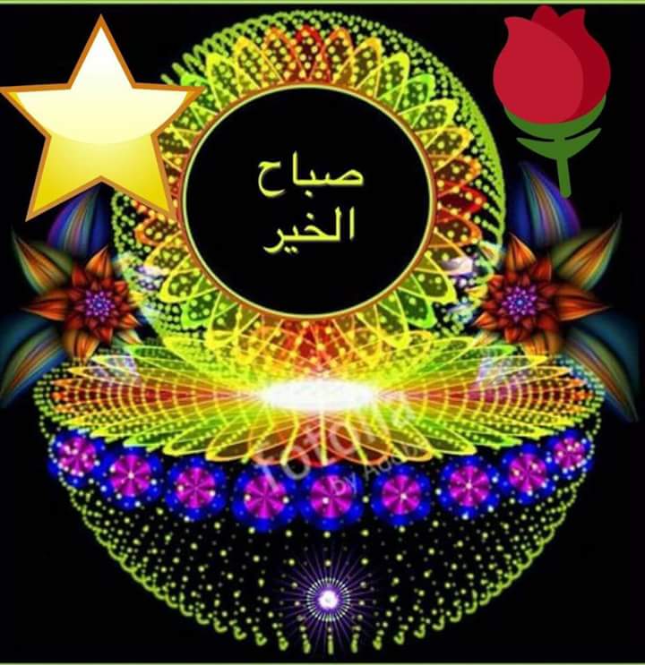 mmaged110 tweet picture