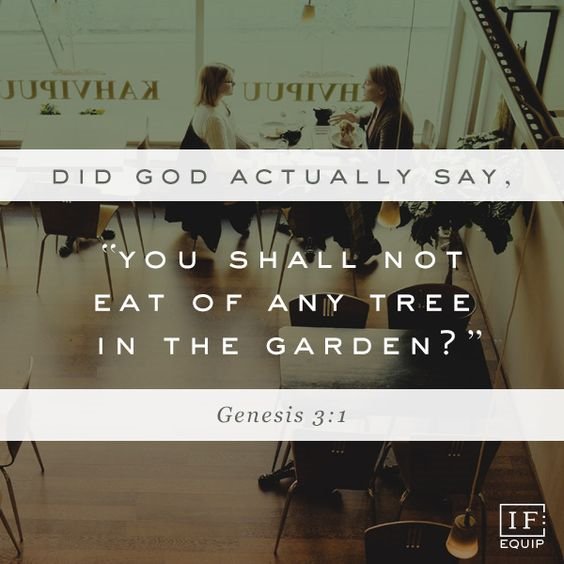 Come_To_JesusCh's tweet photo. Did God actually say, "you shall not eat of any tree in the Garden?" #Genesis3:1

#StopTheDoubt #TurnToGod
#TrustGod #ReadingWithJoost https://t.co/HhZeC645PU