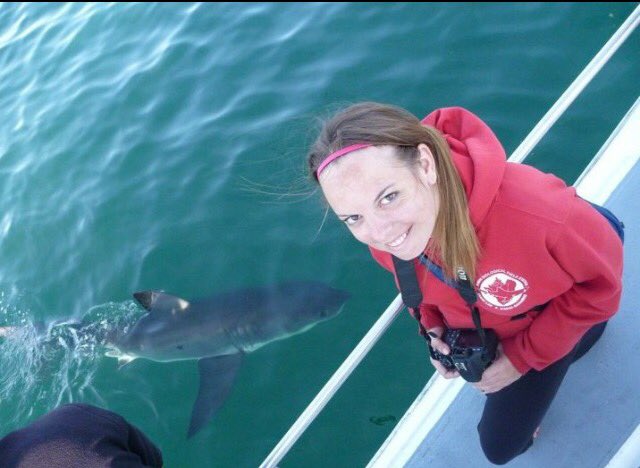 South African Shark Conservancy tweet media