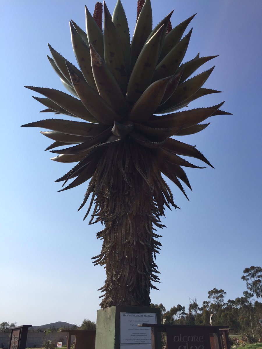 RiaanJordaanZA's tweet photo. First stop was #alcare in #albertinia #wedotourism #mbayaccom #ruralgemssa https://t.co/2DKP2ZaNhq