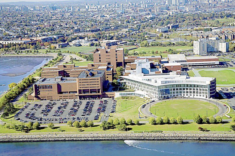 RPandiscio's tweet photo. Blessed to announce my commitment to play baseball at Umass Boston. Thank you to everyone who has helped me along the way. #GoBeacons https://t.co/yBk1ywVRg4