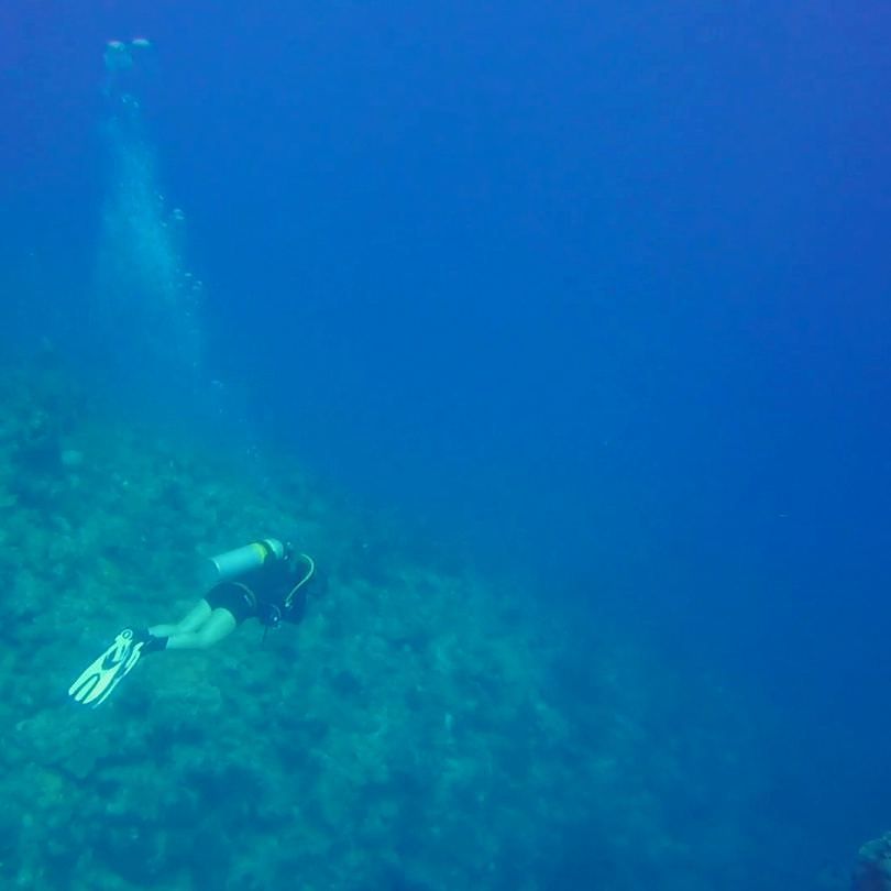 This is my happy place 😊
.
.
#diving #scuba #scubadiving #underwater #underthesea #peaceful #calm #happyplace #bub… ift.tt/2w3I5fM