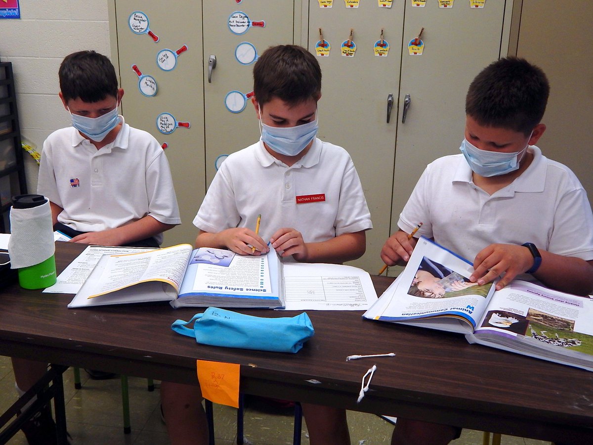 sthenryschool's tweet photo. Fifth grade students performed exploratory surgery on their science book. @sthenryschool https://t.co/c1tRaEeMc7