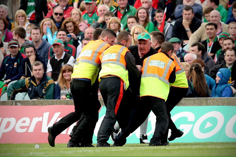 Grizzly_1989's tweet photo. @JOEdotie #MAYOBULL https://t.co/ujIO9yCaQ3