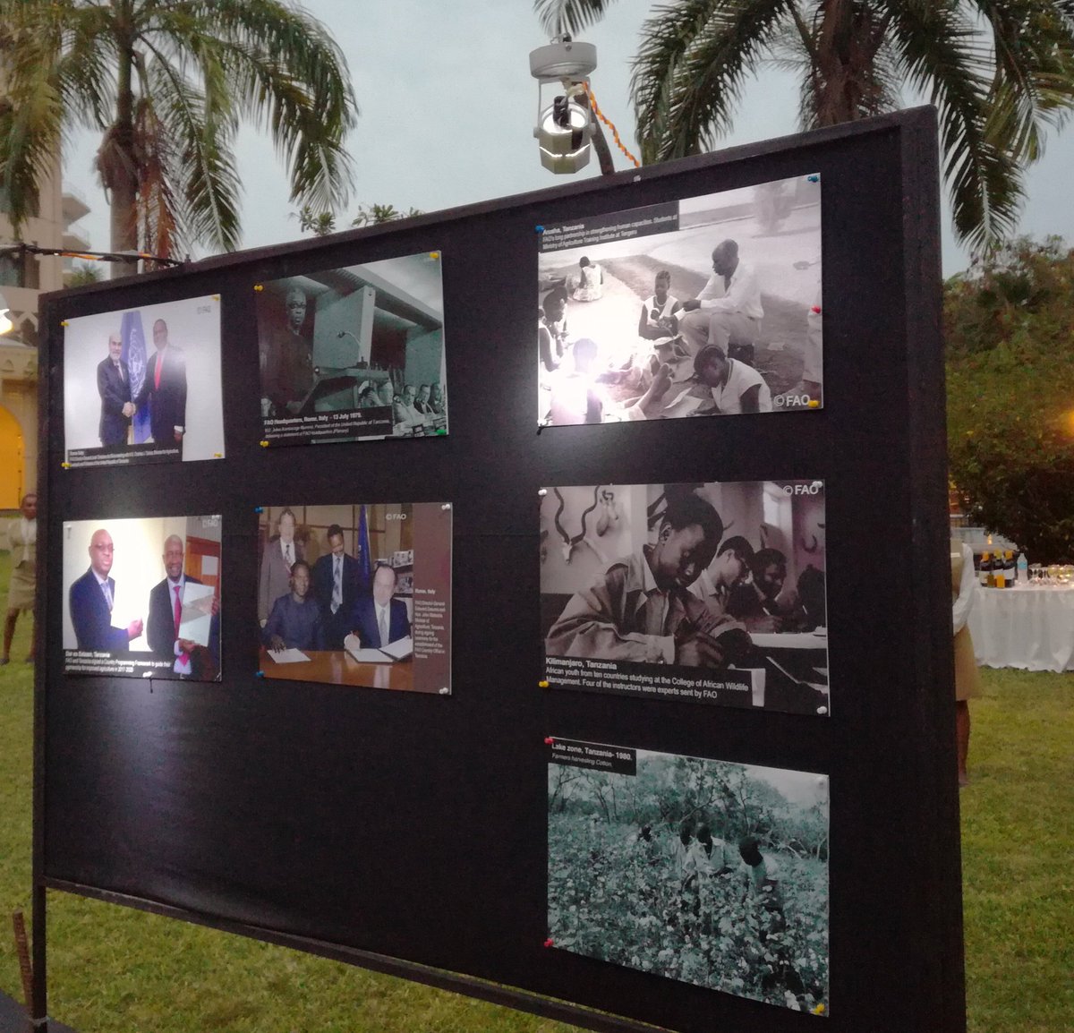 FAOTanzania's tweet photo. A photo display of FAO /GoT partnership over the years #40yearsStrong #URT #FAOTZ #AgricultureDevelopment https://t.co/HubMV2XL1g