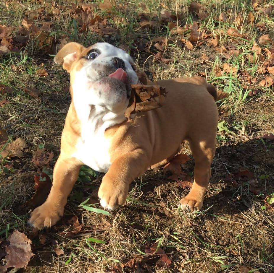 ThatsAnimals's tweet photo. omg https://t.co/354S6Egvvd