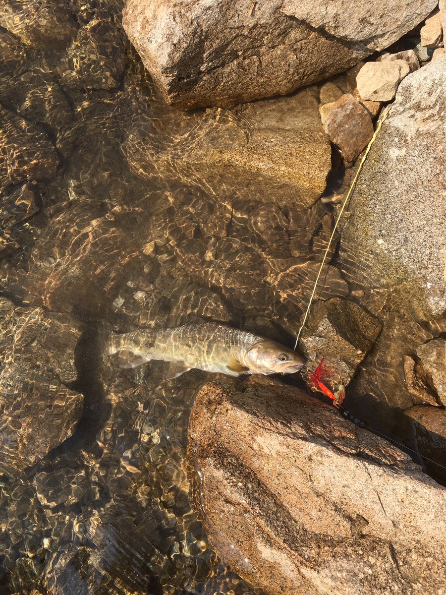 Signs of fall on the Upper South Fork Boise River