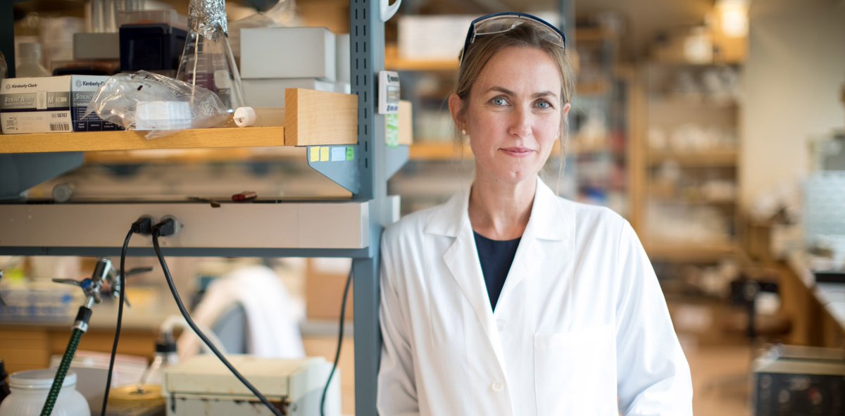 MITdeptofBE's tweet photo. K Ribbeck's test of cervical mucus may reveal pregnant women’s risk of going into labor too early https://t.co/OWt8pLRAvI #biogel https://t.co/NnSeLB8Kgr