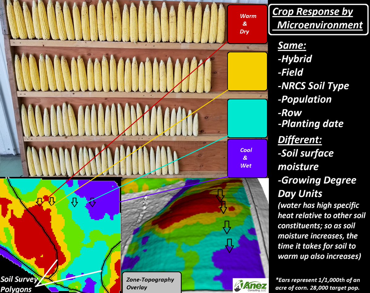 michaeldunnCCA's tweet photo. #BeyondNDVI
Imagery used to map soil moisture. More water means more time before soils warm up, affecting maturity as seen here. https://t.co/iHIl3WhcOd
