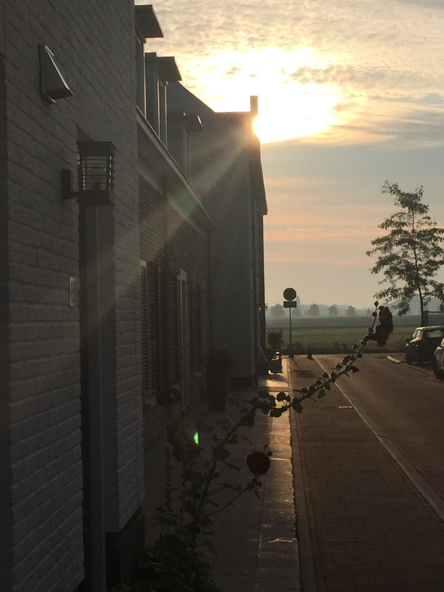 Een prachtige ochtend op de #Plantage in #Meteren