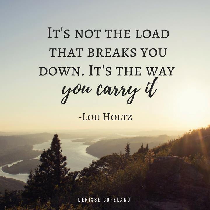 terri_franks's tweet image. 