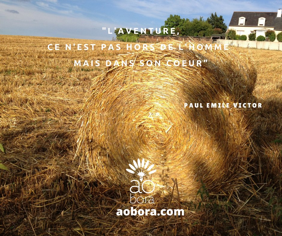 Aobora's tweet photo. "L'aventure n'est pas hors de l'homme mais dans son coeur".
Paul Emile Victor. #OserEtreSoi #AOBORA #developpementpersonnel #aventure https://t.co/holXUpDA6g