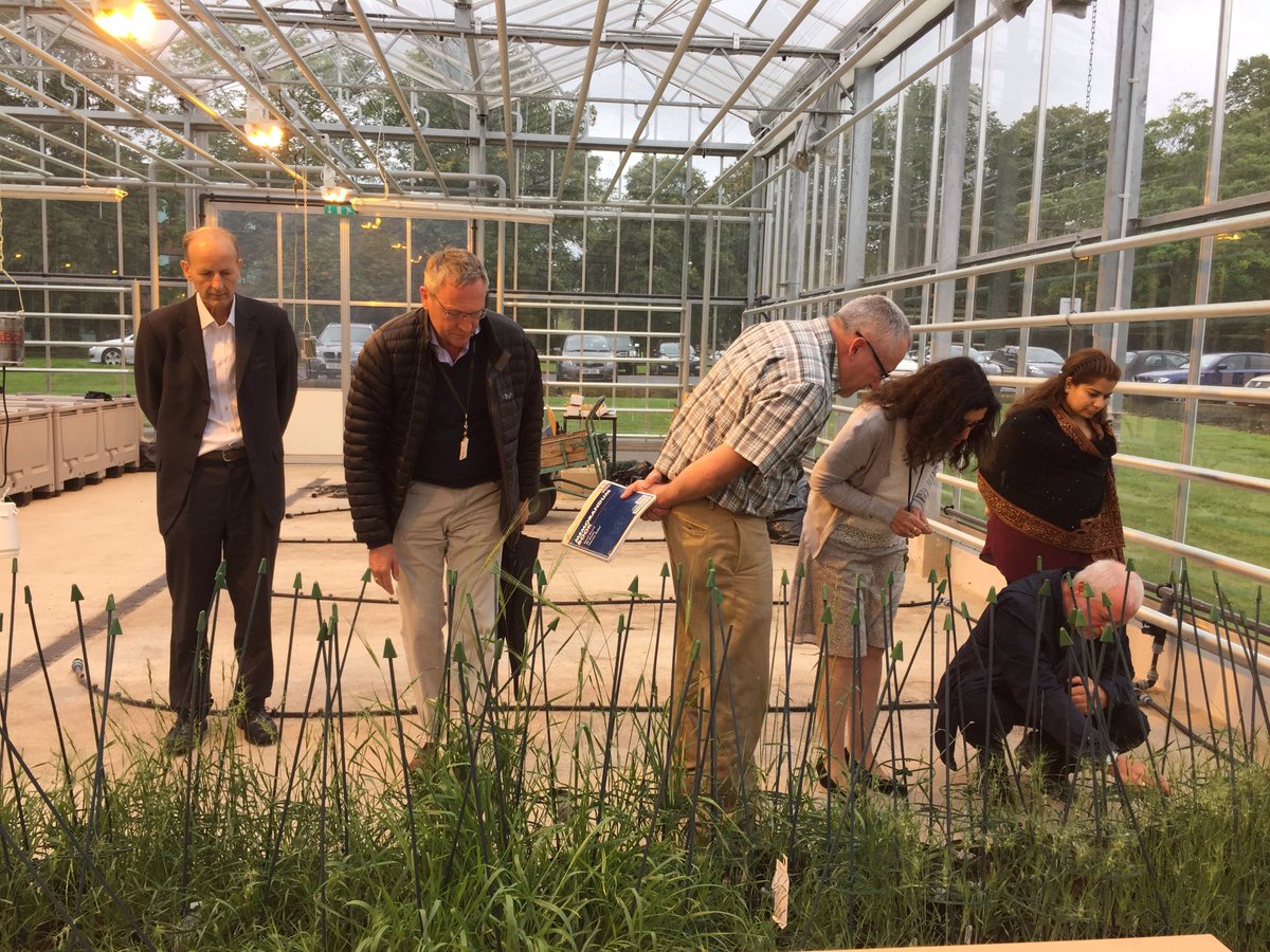 Notts_WRC's tweet photo. Wild relatives #UnderScrutiny ... how many professors does it take to #GETWILD? https://t.co/4tba5fQLJB