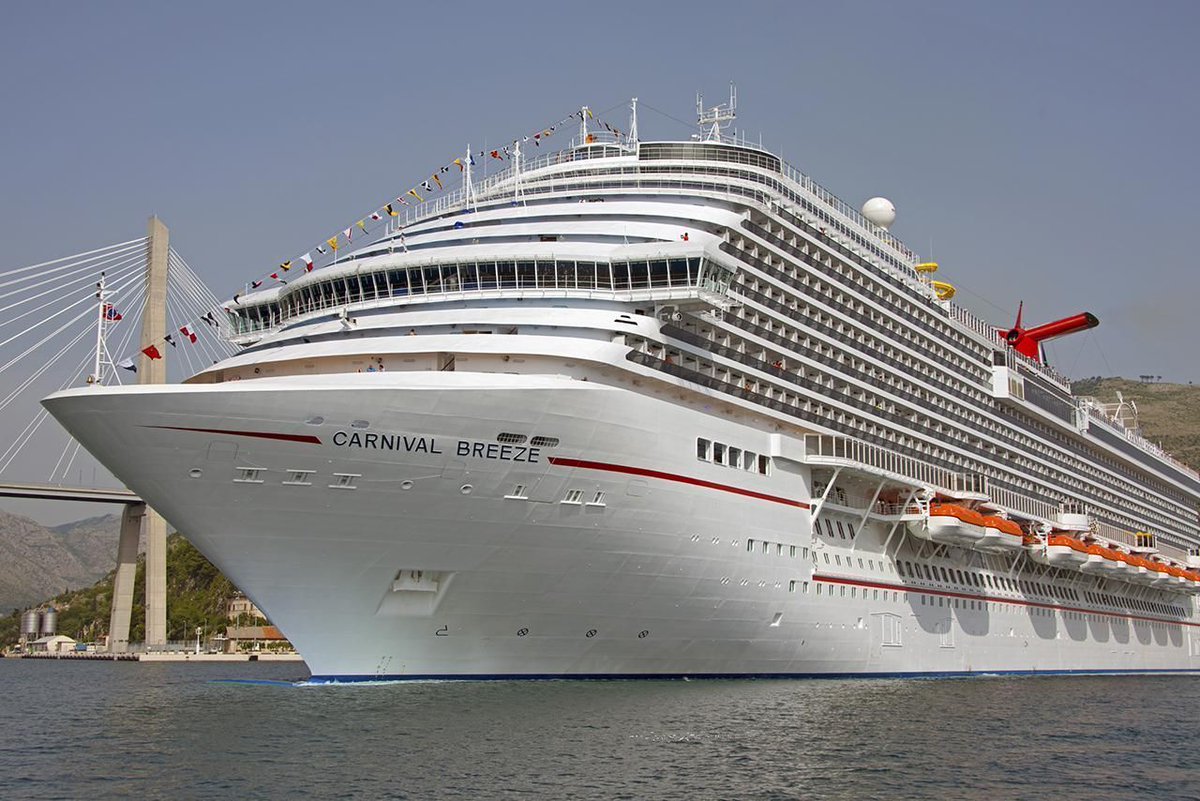 AboutCruises tweet picture