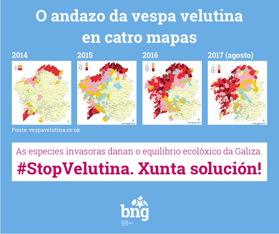obloque's tweet photo. O andazo da vespa velutina en 4 mapas 👇 (fonte https://t.co/cqgUDqovoG ). As especies invasoras danan o equilibrio ecolóxico da Galiza. https://t.co/c08XWTxipk