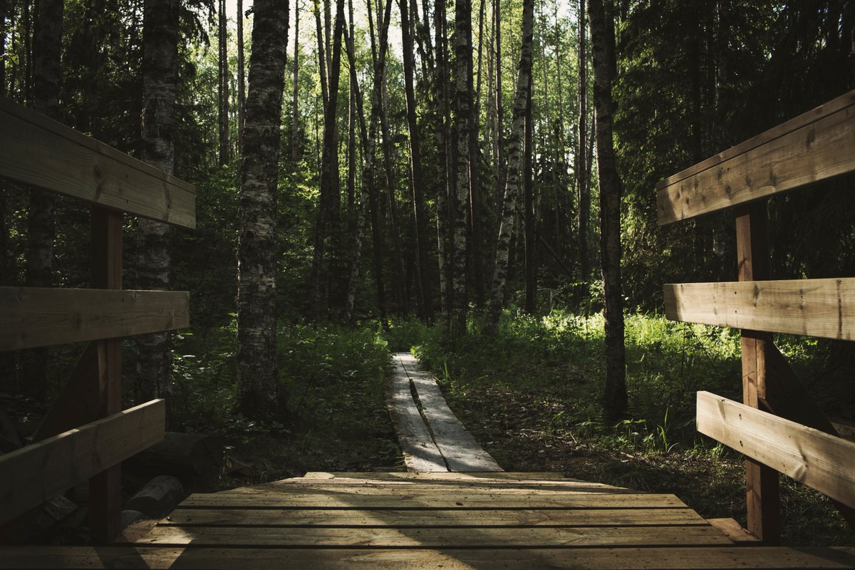 SappLife's tweet photo. Fall is in the air - a time when many of us seek organization, structure, and grounding for greater productivity. #sapplife #TuesdayThoughts https://t.co/1Y6bwCGmeq