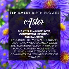 Flowers780's tweet photo. It's September, here is this month's birth flower! https://t.co/dMaub276bn