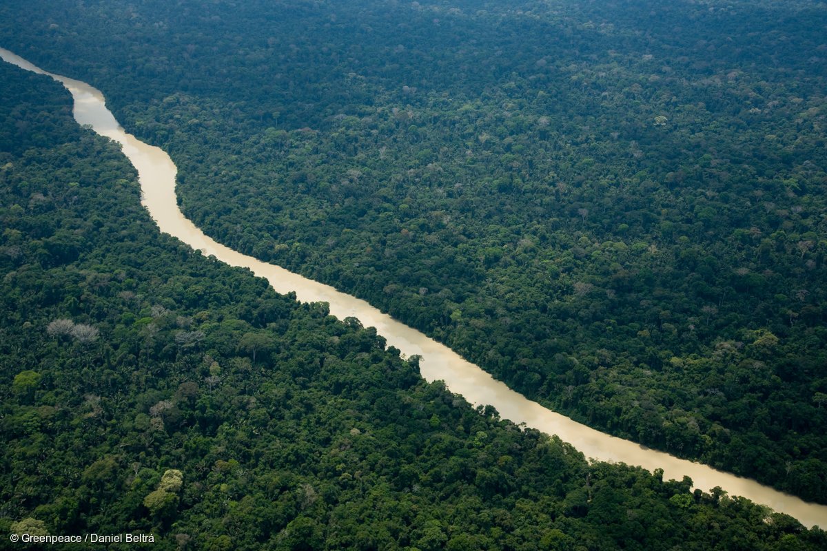 GreenpeaceBR's tweet photo. O bioma amazônico ocupa 49% do território nacional. Preservá-lo é crucial para o futuro #TodosPelaAmazônia #AmazôniaSuaLinda https://t.co/jfioRS9J2h