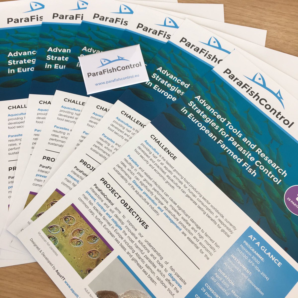 simondocvet's tweet photo. #GREAT to be hosting @parafishcontrol #IndustryForum as part of @EAFP2017 conference in #Belfast 🐟 #tools #research #parasites #farmedfish 🐟 https://t.co/VHPlnvhyPG