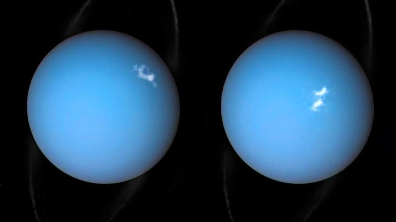 Gizmodo tweet picture