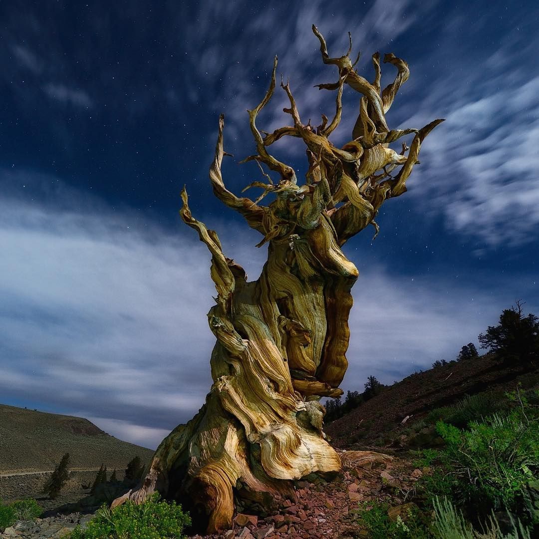 The Nature (@the_nature_01) on Twitter photo 