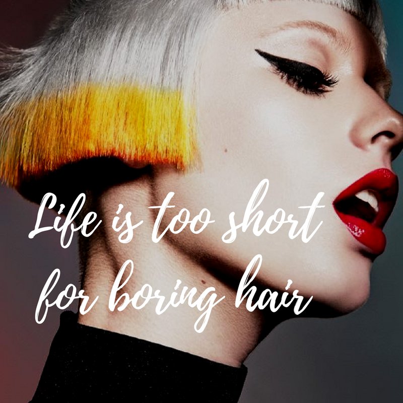 HauteSalonATX's tweet photo. A bold life starts with a bold cut...just saying. #atxstylist #HauteEuropeanSalon https://t.co/JurGvXqe0L
