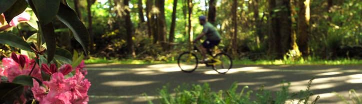 parkstacoma's tweet photo. Ride your bike or take a walk. #FiveMileDrive closed to vehicles weekdays until 10 am and weekends until 1pm. https://t.co/lAwWfoJQoR https://t.co/PnrusYDIO5