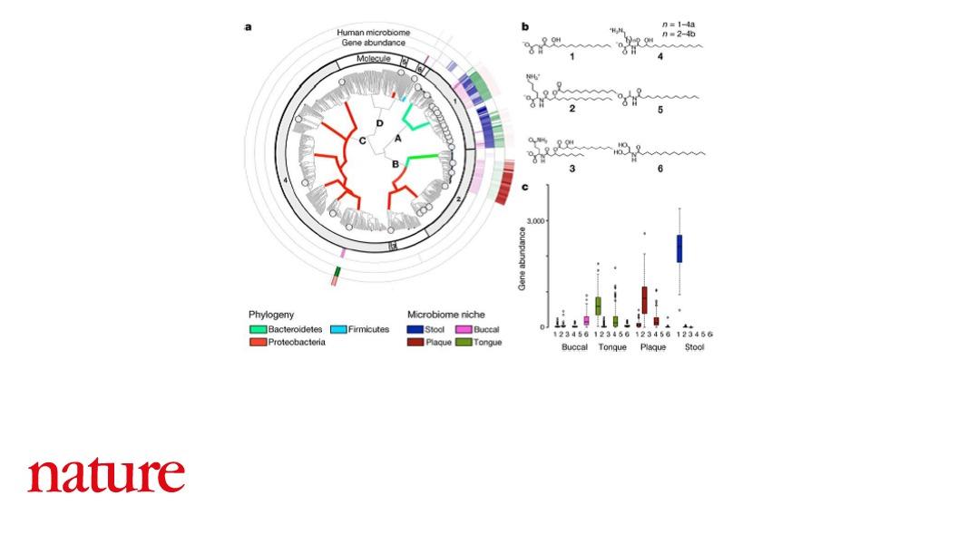 NaturePortfolio's tweet photo. Gut bacteria produce small organic compounds that interact with receptors to mediate human health and physiology https://t.co/DNjb4MtdXI https://t.co/a6Cm0EQxKx