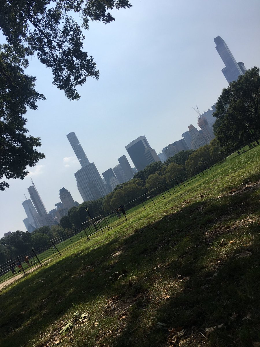 KiddingButNotKidding tweet media