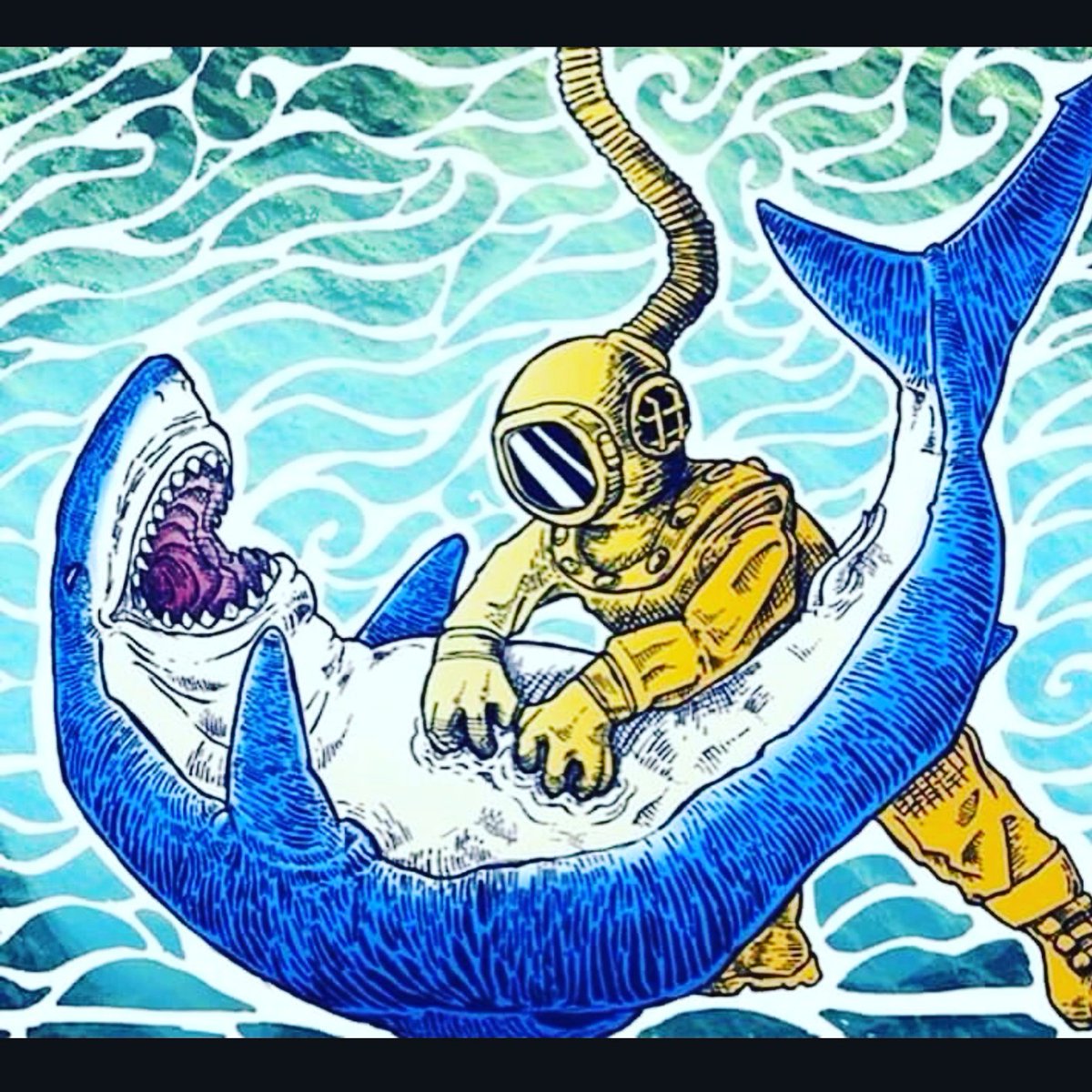 TheLyfeAquatic's tweet photo. Eek! Not the belly!!!!! Shark attack!

#shark #everyweekisharkweek #tickles #sharkattack #waves #ocean #underwater #scuba #dive #surf https://t.co/2XERUY8IEK