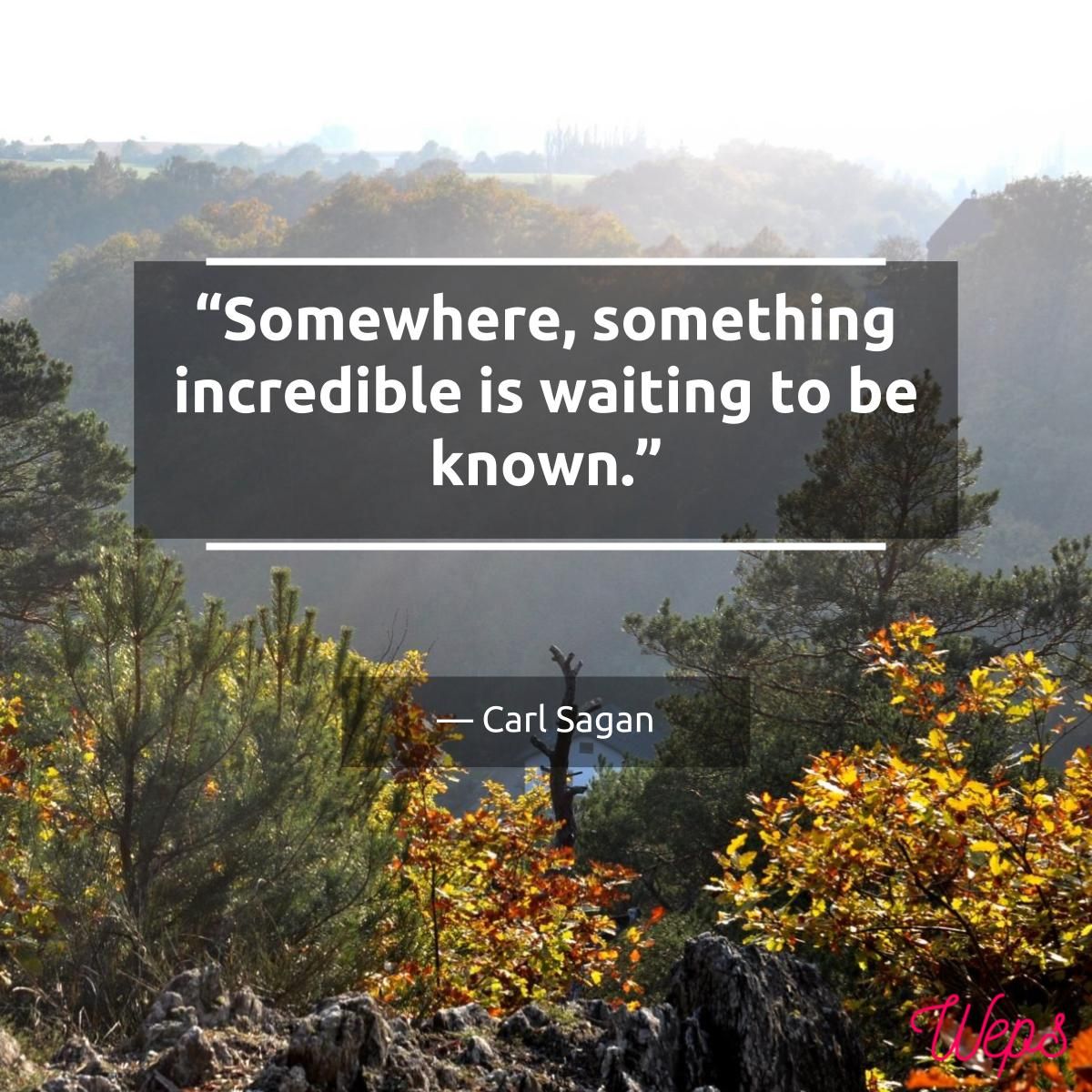 weps_official's tweet photo. Quote by Carl Sagan
#startup #startuplife #startupbusiness #agile #webdesign #developer #webdevelopment #webdeveloper #business https://t.co/ypm7qnP8pv