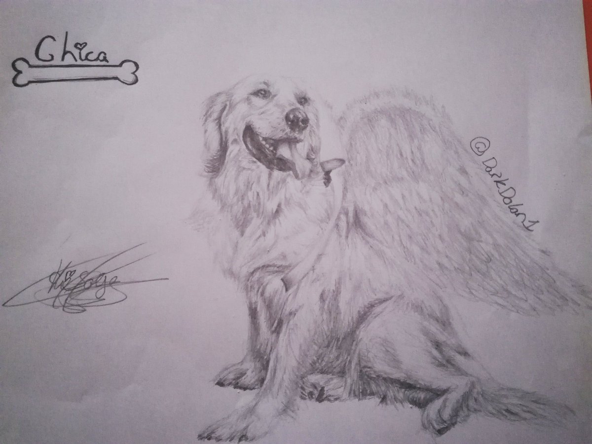 olympiabutirl's tweet photo. Drawing of @markiplier
Doggo Chica.
This took so long to draw. 
I hope you like it mark. 😊
You probably won't see this.
I'll never give up. https://t.co/RrWToK242x