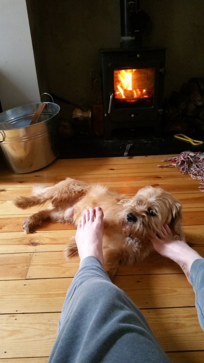 sykadelica's tweet photo. Autumn evenings. Warm dogs and warm toes. Hot fires from @StoveFitters #allyouneedislogs
#allyouneedisdogs https://t.co/meJ5y39SAP