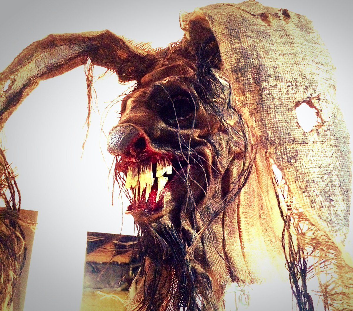 AaronNobess's tweet photo. CryptSkin Bunny! #rabbit #bunny #NightmareCreatures #sillyrabbit #CryptSkin #Makingmonsters #Halloween #ComicCon #Wpg #Artist https://t.co/r5RnVsdY5z