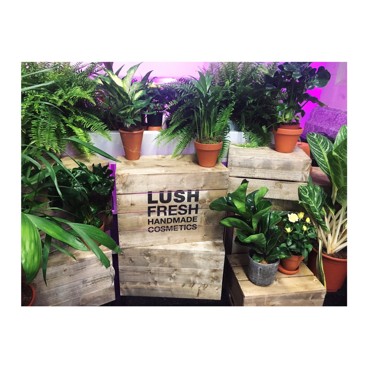 Such a great afternoon at the <a href="/LushLtd/">LUSH UK</a> #CreativeShowcase - super inspiring talks (and products galore) 😍