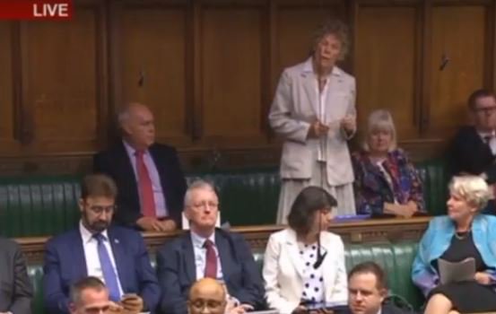 WATCH: <a href="/KateHoeyMP/">KateHoeyMP (where MP stands for My Profile now).</a>: Labour Are Betraying the Will of the British People order-order.com/2017/09/05/hoe…
