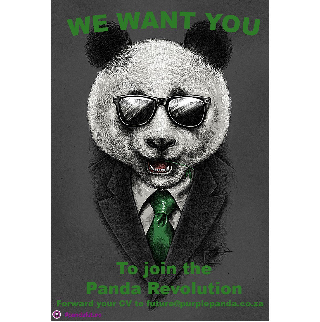 purple_future's tweet photo. Beat the #recession Forward your CV to future@purplepanda.co.za #pandafuture #JobSeekersSA #jobsearch https://t.co/QjCrcsCGYX