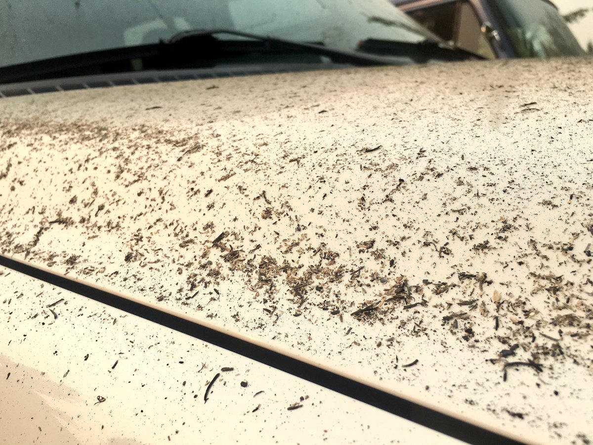KCookKGW's tweet photo. Ash on your car? Don't brush it off. Use water. Ash will scratch glass and paint. Tell your friends. #EagleCreekFire https://t.co/nBXjXdl0t7