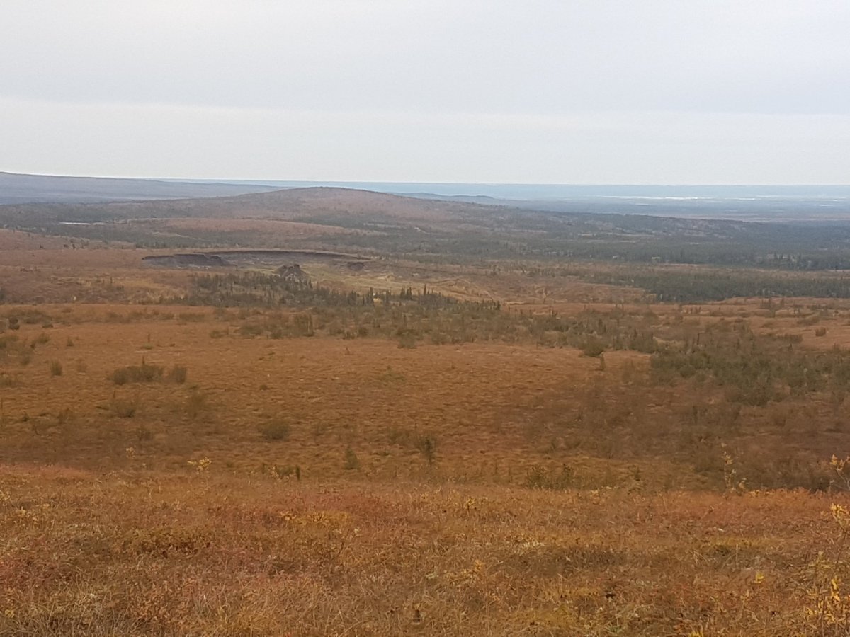 MatthewQmar's tweet photo. Great weekend! Caught some wildlife en route to pick berries (spolier: not great picking right now) and a nerdy hike to a #permafrost slump https://t.co/W2VIlcDzB4